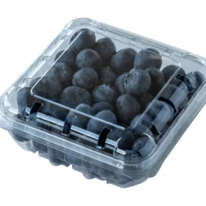 BLUEBERRY